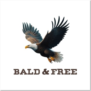 Bald and Free Eagle Posters and Art